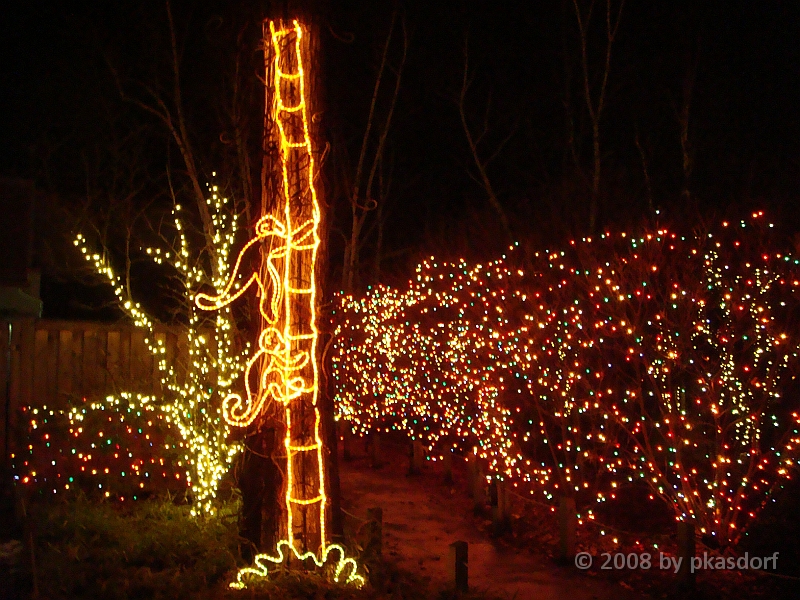 045 Toledo Zoo Light Show [2008 Dec 27].JPG - Scenes from the Toledo Zoo Light Show.